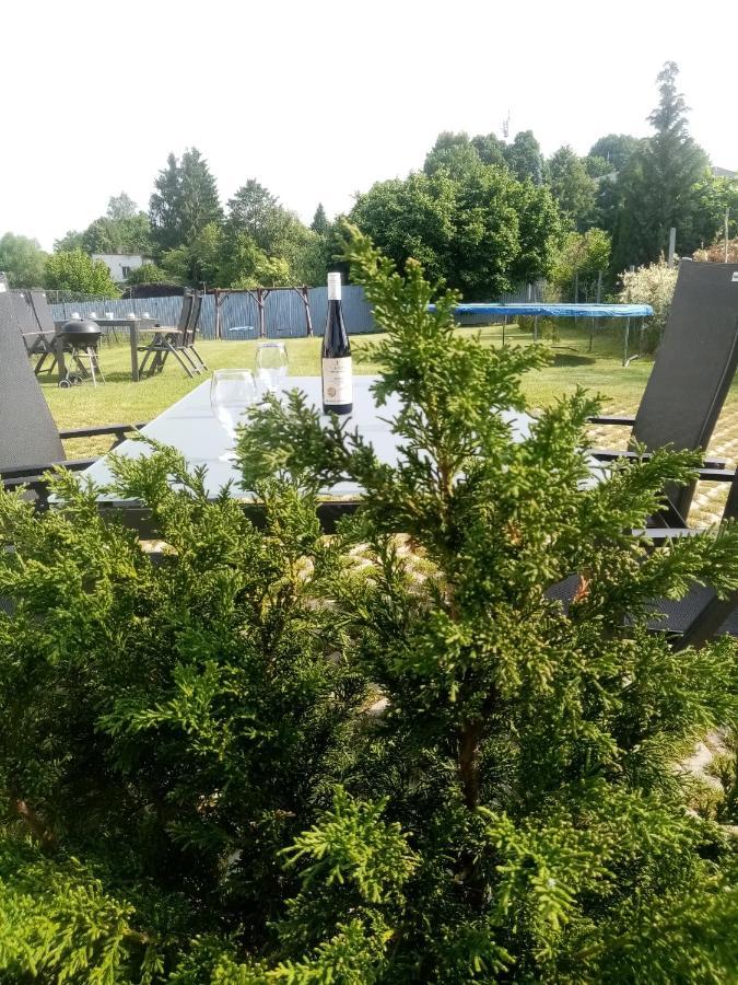 Apartmany Kohoutek A Slepicka V Novohradskych Horach Nové Hrady المظهر الخارجي الصورة